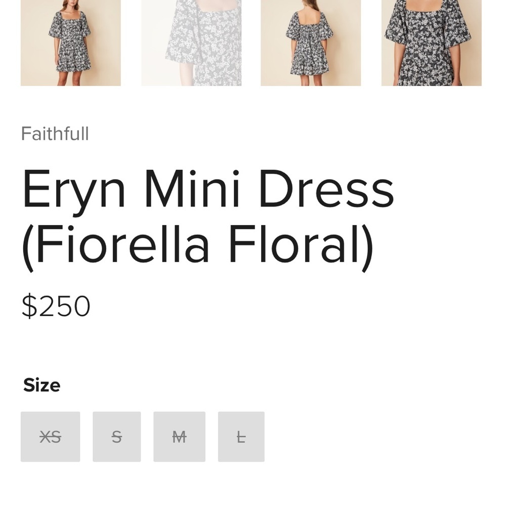 NWOT Eryn Mini Dress Fiorella Floral - Picture 4 of 6